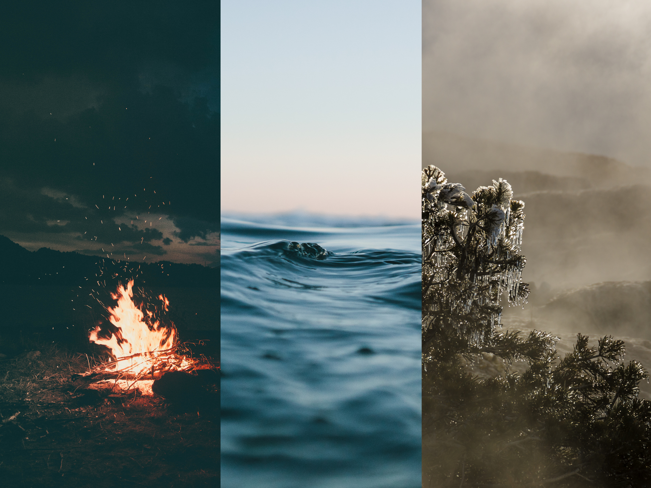 What Are Doshas? Your Chill Intro to Ayurveda’s Mind-Body Magic