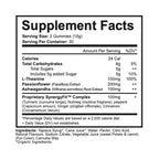 EASE Wellness Gummy - Blackberry Lemonade