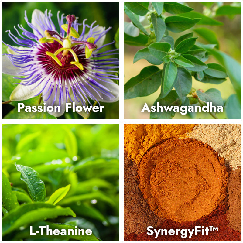 The Wellness Trio Bundle